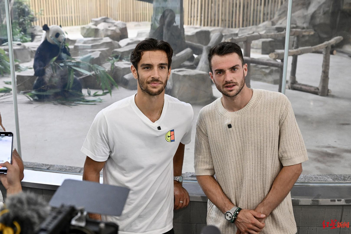 无论是暂停 无论是暂停