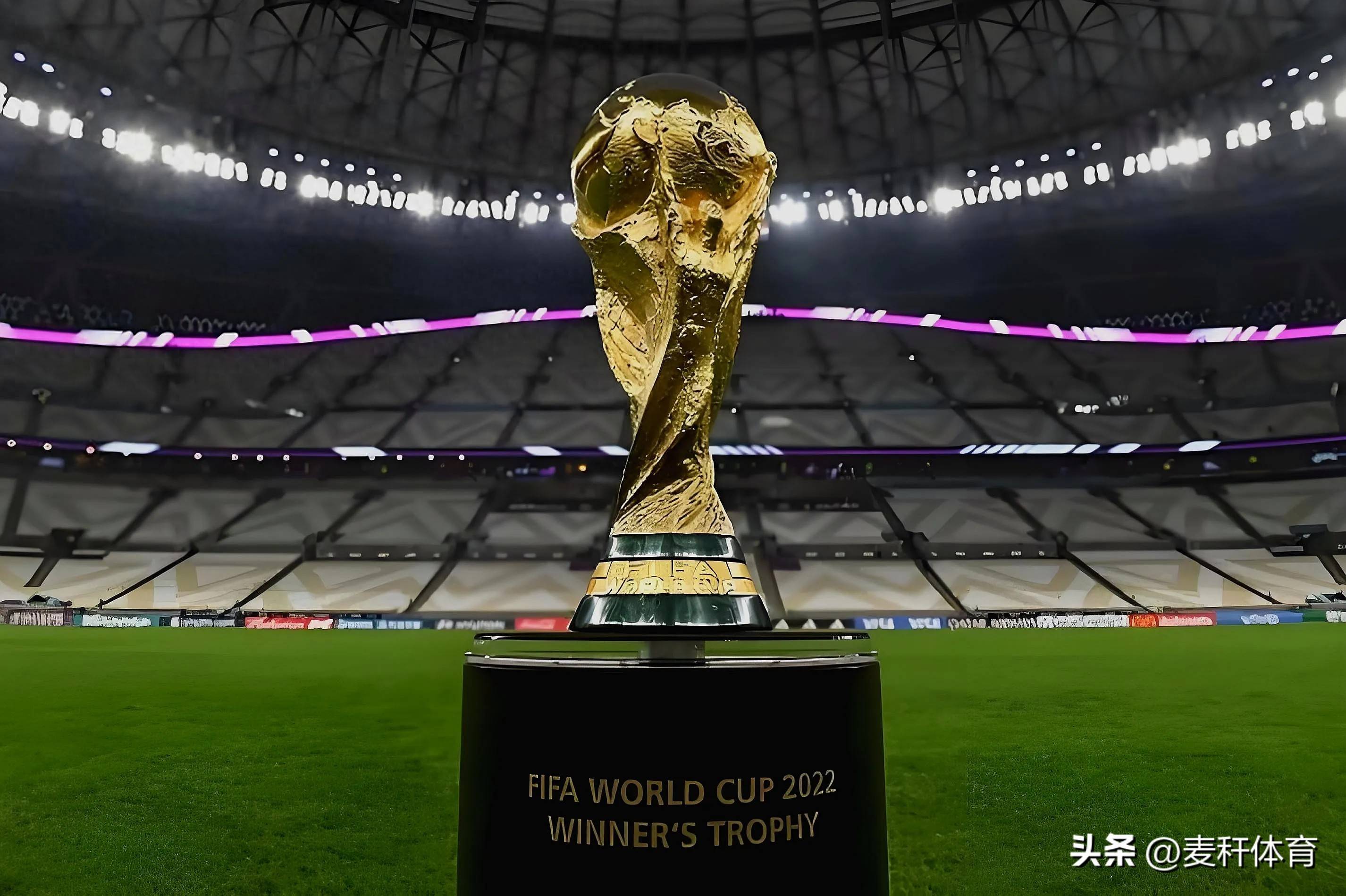 提前卡位 提前卡位