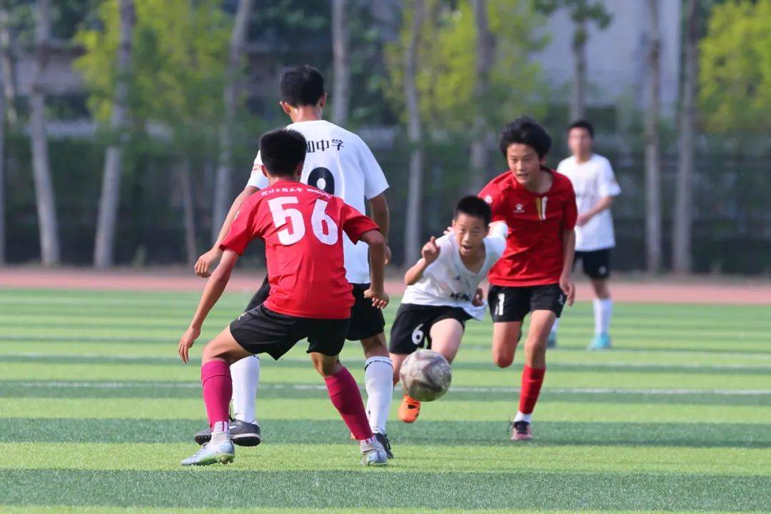 的成功不仅 的成功不仅